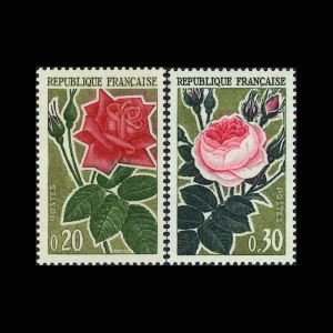3692 外国切手 イギリス 1976年 バラの花 薔薇 4種完 植物・菌類 - 英国海外郵趣