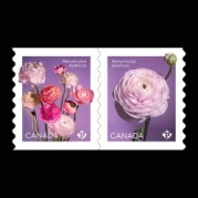 カナダ2023年ラナンキュラス切手2種